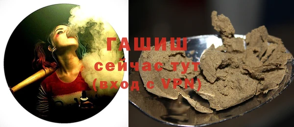 индика Алзамай