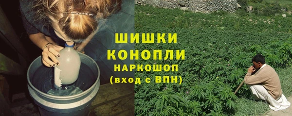 трава Абаза