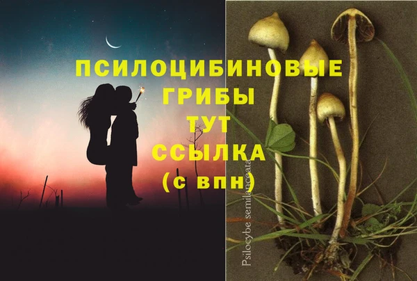 прущие крисы Абинск