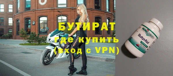 индика Алзамай