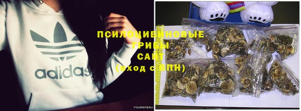 a pvp Алексин