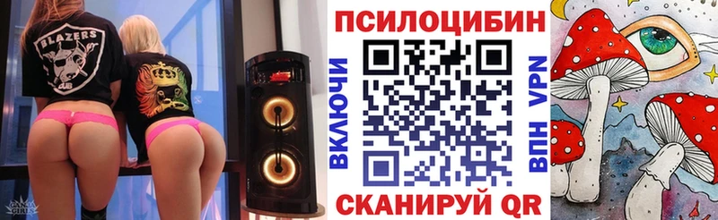 Галлюциногенные грибы Psilocybe  Старая Купавна 